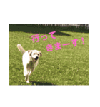 クレアの日常。（個別スタンプ：14）