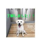 クレアの日常。（個別スタンプ：15）