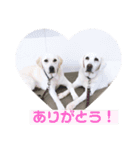 クレアの日常。（個別スタンプ：16）
