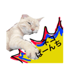 エブリデイホンマ（個別スタンプ：7）