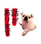 メロちゃんスタンプ第ニ弾（個別スタンプ：2）