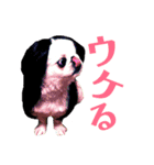 メロちゃんスタンプ第ニ弾（個別スタンプ：7）