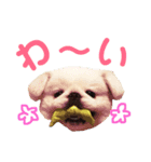 メロちゃんスタンプ第ニ弾（個別スタンプ：8）