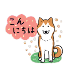 Every Day Dog 柴犬 日本語2（個別スタンプ：2）