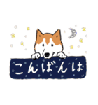 Every Day Dog 柴犬 日本語2（個別スタンプ：3）