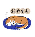 Every Day Dog 柴犬 日本語2（個別スタンプ：4）