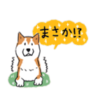 Every Day Dog 柴犬 日本語2（個別スタンプ：8）