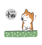 Every Day Dog 柴犬 日本語2（個別スタンプ：9）