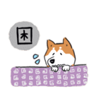 Every Day Dog 柴犬 日本語2（個別スタンプ：14）