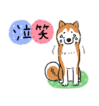 Every Day Dog 柴犬 日本語2（個別スタンプ：17）