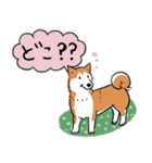 Every Day Dog 柴犬 日本語2（個別スタンプ：19）