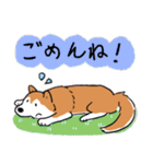 Every Day Dog 柴犬 日本語2（個別スタンプ：20）