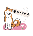 Every Day Dog 柴犬 日本語2（個別スタンプ：22）