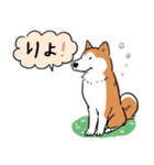 Every Day Dog 柴犬 日本語2（個別スタンプ：23）