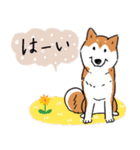 Every Day Dog 柴犬 日本語2（個別スタンプ：24）