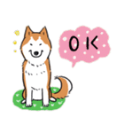 Every Day Dog 柴犬 日本語2（個別スタンプ：25）