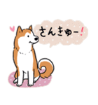 Every Day Dog 柴犬 日本語2（個別スタンプ：27）