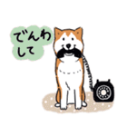 Every Day Dog 柴犬 日本語2（個別スタンプ：31）