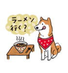 Every Day Dog 柴犬 日本語2（個別スタンプ：32）