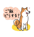 Every Day Dog 柴犬 日本語2（個別スタンプ：33）