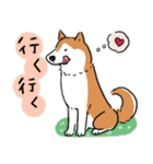 Every Day Dog 柴犬 日本語2（個別スタンプ：37）