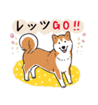 Every Day Dog 柴犬 日本語2（個別スタンプ：38）