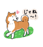 Every Day Dog 柴犬 日本語2（個別スタンプ：40）