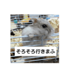いつもの会話にネコを（個別スタンプ：6）