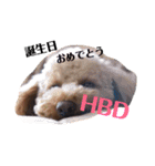 ビビの日常生活 2（個別スタンプ：4）