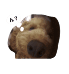ビビの日常生活 2（個別スタンプ：9）