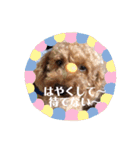 ビビの日常生活 2（個別スタンプ：10）