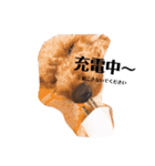 ビビの日常生活 2（個別スタンプ：11）