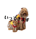ビビの日常生活 2（個別スタンプ：13）
