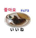 食べ物の写真 韓国語と日本語（個別スタンプ：3）