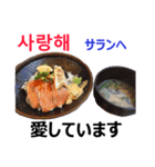 食べ物の写真 韓国語と日本語（個別スタンプ：17）