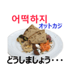 食べ物の写真 韓国語と日本語（個別スタンプ：35）