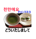 食べ物の写真 韓国語と日本語（個別スタンプ：40）