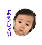 さゆもりこた（個別スタンプ：11）