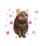 にゃんこ達の一言（個別スタンプ：10）