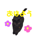 にゃんこ達の一言（個別スタンプ：15）
