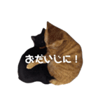 にゃんこ達の一言（個別スタンプ：26）