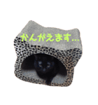 にゃんこ達の一言（個別スタンプ：29）