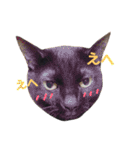 にゃんこ達の一言（個別スタンプ：33）