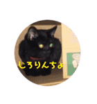 にゃんこ達の一言（個別スタンプ：35）