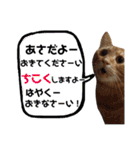 にゃんこ達の一言（個別スタンプ：36）