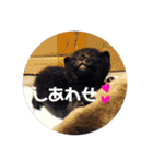 にゃんこ達の一言（個別スタンプ：40）
