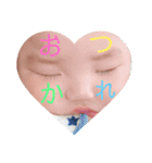 ぽんたすたんぷ（個別スタンプ：12）
