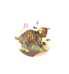 ベンガル  ライちゃん  2（個別スタンプ：12）