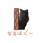 猫だくさん vol.1（個別スタンプ：9）