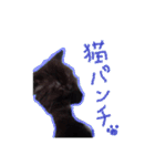 猫だくさん vol.1（個別スタンプ：12）
